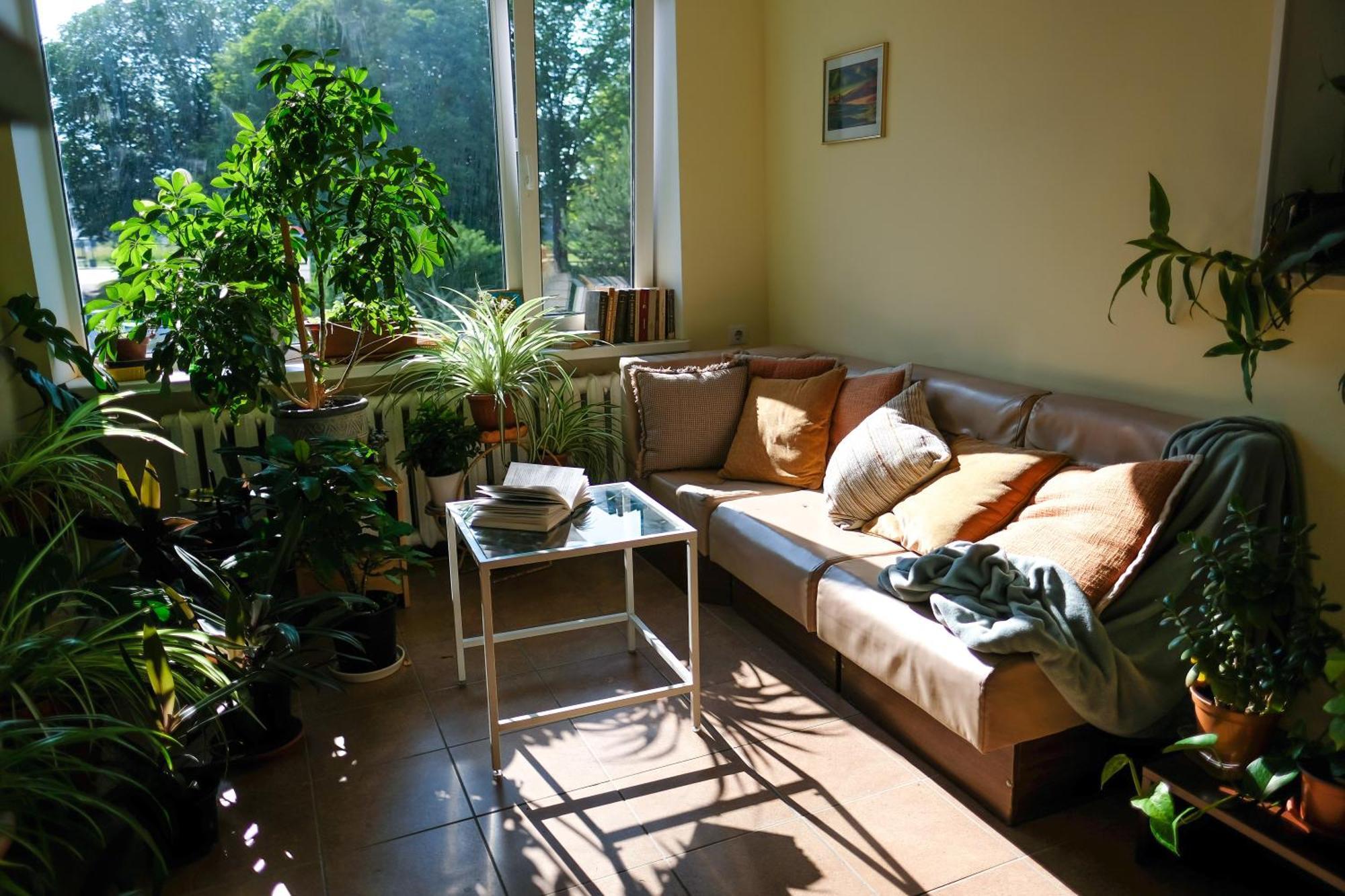 Hostel Nele Jõhvi Esterno foto
